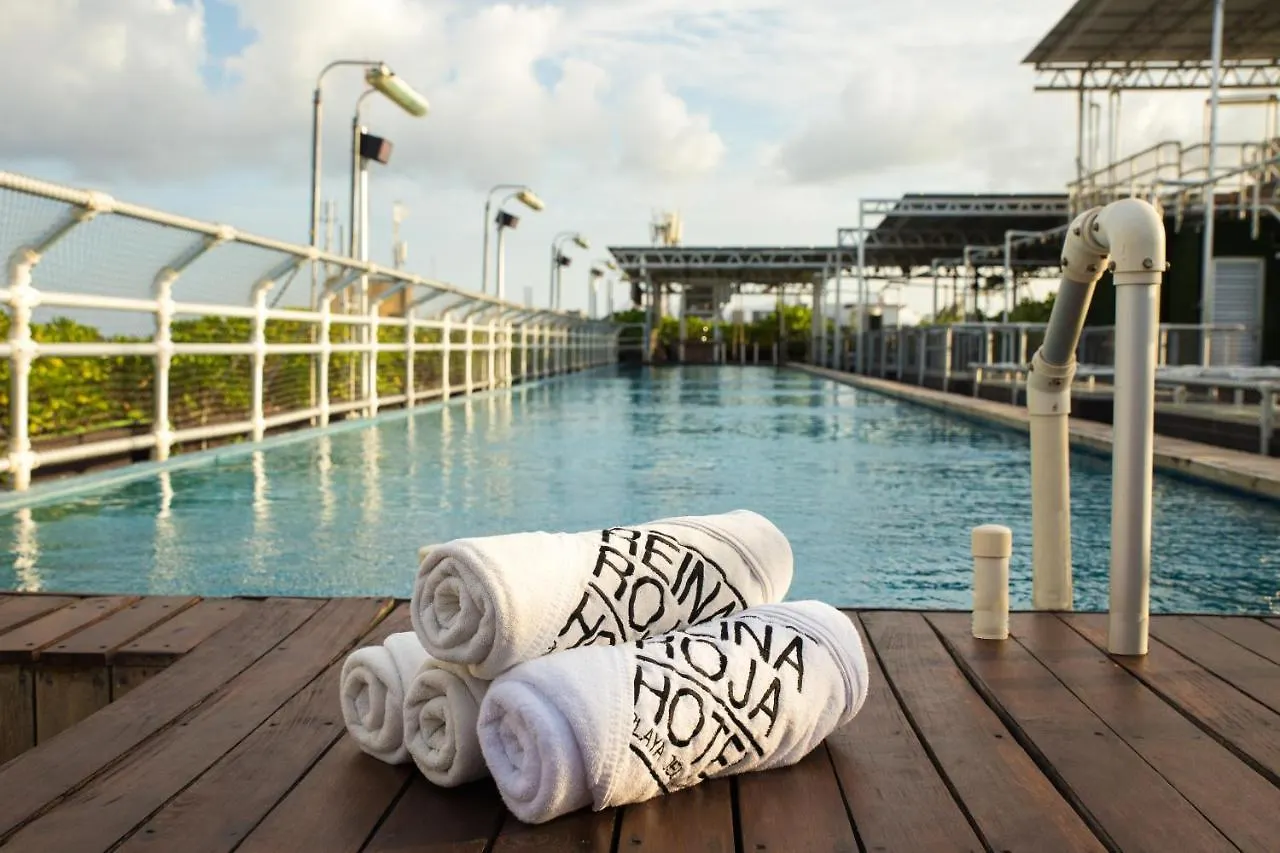 Reina Roja Hostal Vandrarhem Playa del Carmen